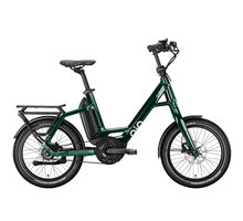 QiO EINS A-8R Compacte Elektrische Fiets 20 inch Forest Green Glossy