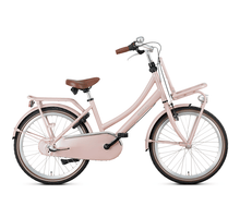 Popal Daily Dutch Basic+ 3 Versnellingen 22 inch Zalm