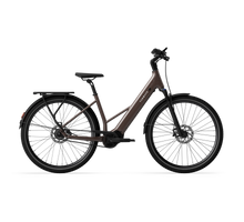 Tenways Ago Air Belt Walnut Brown